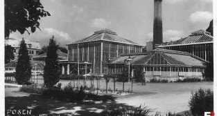 Palmiarnia Poznańska w roku 1942 Foto:
