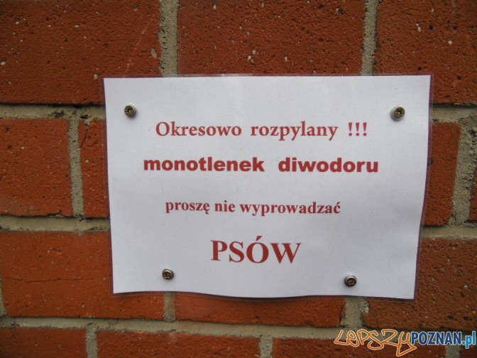 Monotlenek Diwodoru Straszy W a cicieli Kejtr w Lepszy Pozna monotlenek-diwodoru-straszy-w-a-cicieli-kejtr-w-lepszy-pozna
