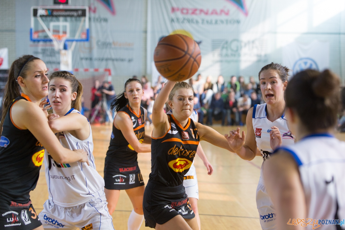Koszykówka JTC MUKS Poznań pokonuje Grot Dekorex Pabianice Lepszy