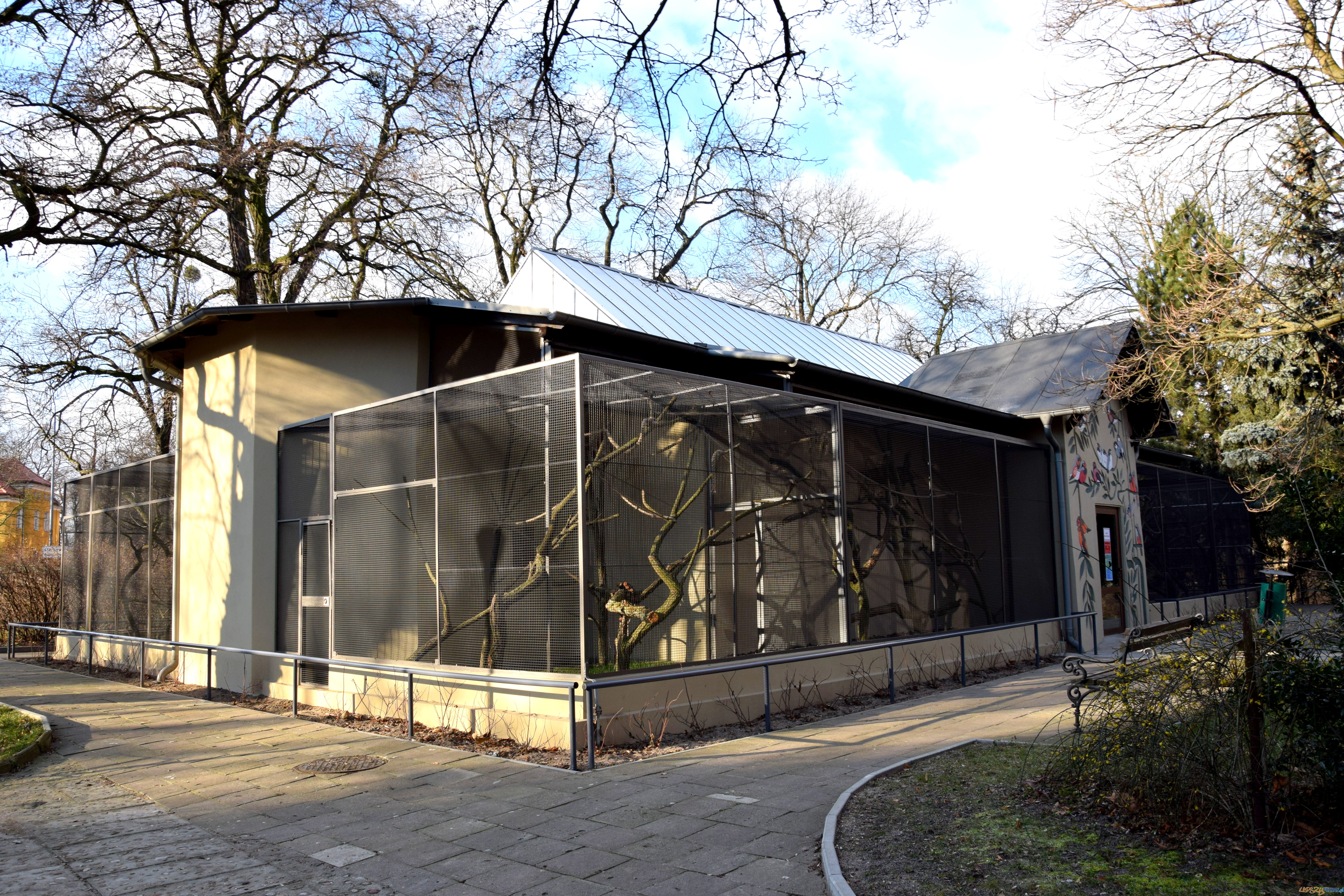 azyl dla małp Ameryki Południowej w Starym Zoo