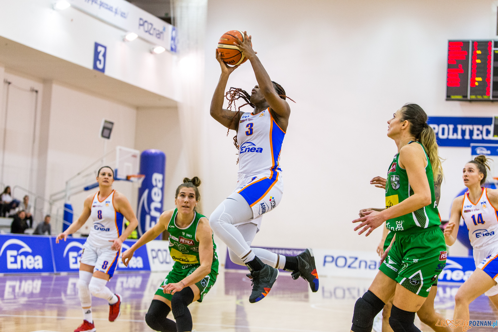 Enea AZS Poznań – Pszczółka Polski-Cukier AZS-UMCS Lublin 7 Foto: LepszyPOZNAN.pl / Paweł Rychter Enea AZS Poznań – Pszczółka Polski-Cukier AZS-UMCS Lublin 7 Foto: LepszyPOZNAN.pl / Paweł Rychter